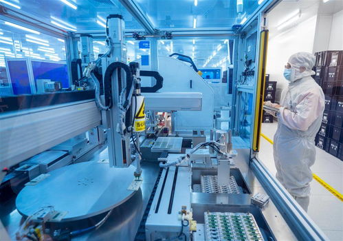 光谷高端光電子產品節前加緊出貨，機械科技賦能高效生產